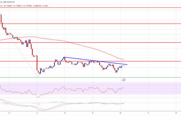 Dogecoin (DOGE) Slips Once More—Bears Tighten Grip on Meme Coin Darling